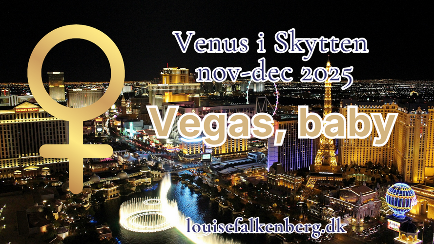 venus i skytten nov dec 2025