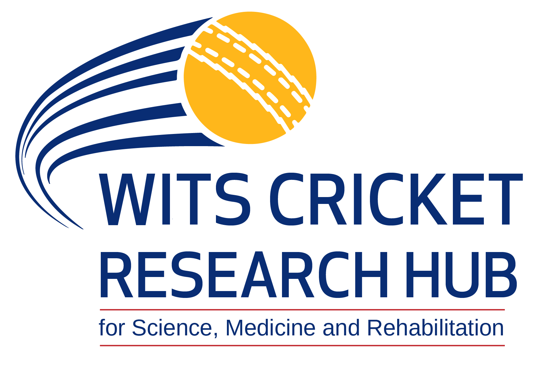 Research Hub logo Potrait_transparent