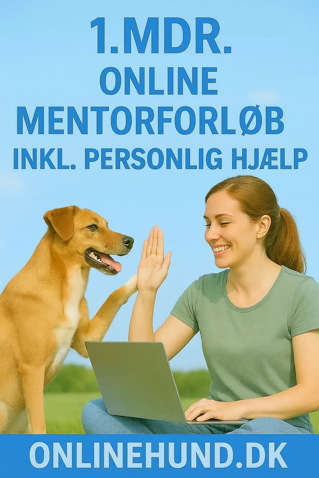 Mentorforløb onlinehund.dk