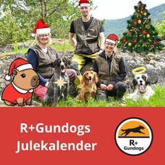 R+Gundogs Julekalender