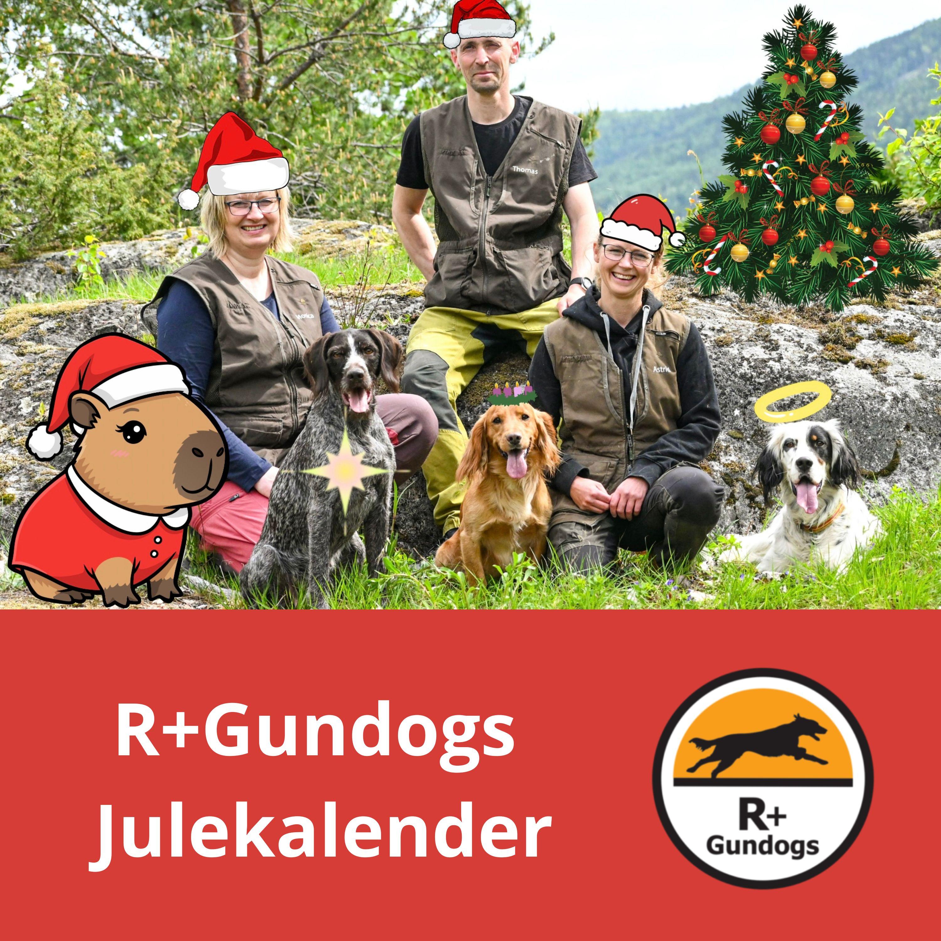 R+Gundogs Julekalender