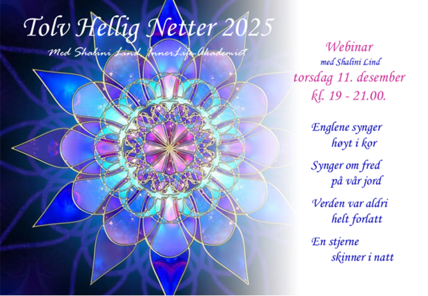 25. 12 Hellige forsidebilde