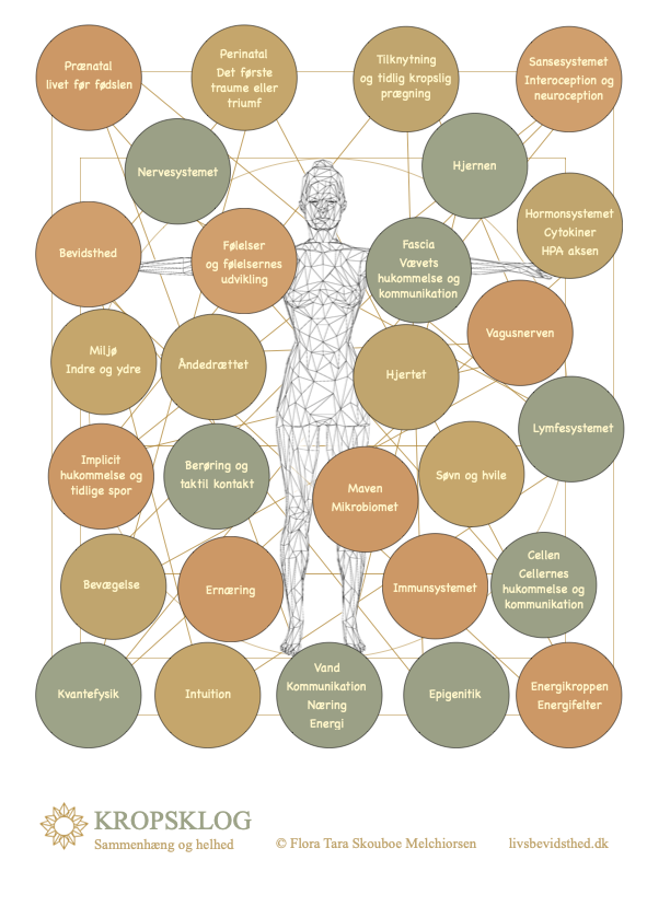 KROPSKLOG sammenhæng og helhed