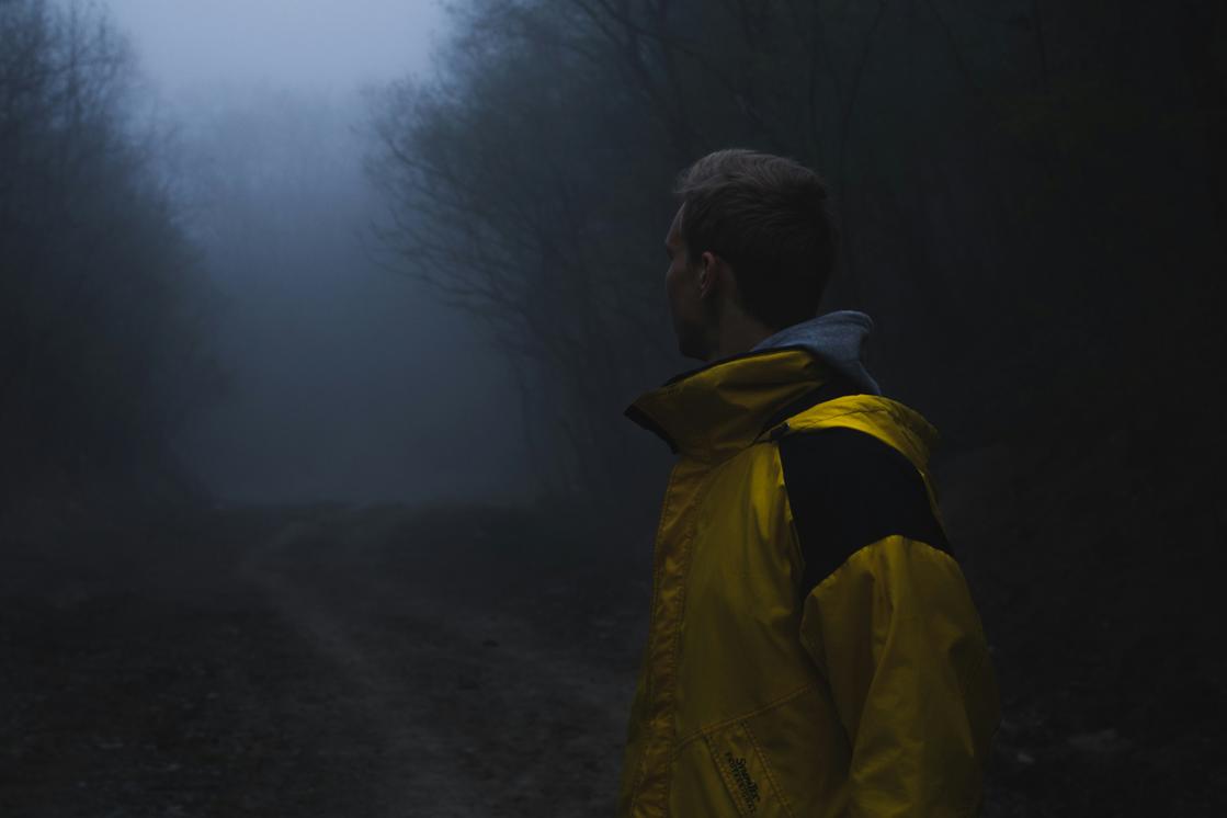 photo-1621117762223-183de8d96b15