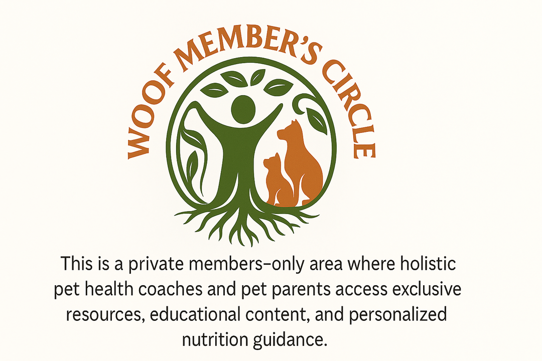 WMC-CardImage800x450