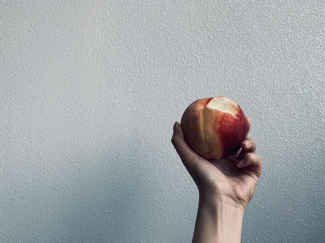 photo-1639095691952-4349f6360d16