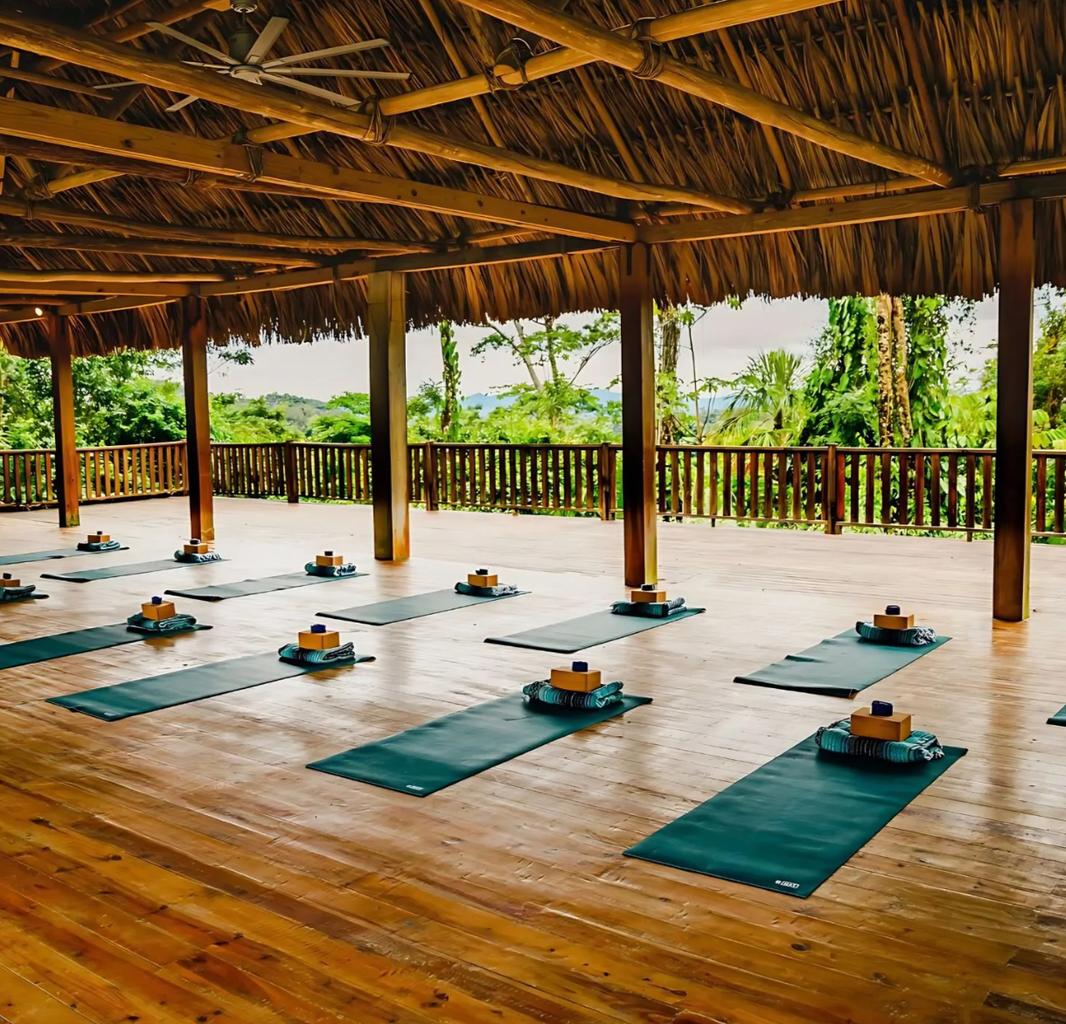 IMG_5286 - Bridget Allen