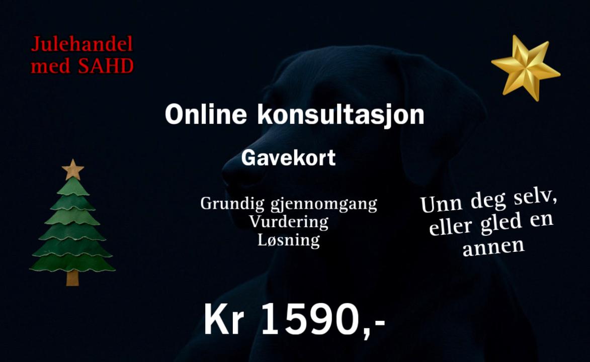 A1E5FD27-5582-4524-96C2-ED9A018EDE4A