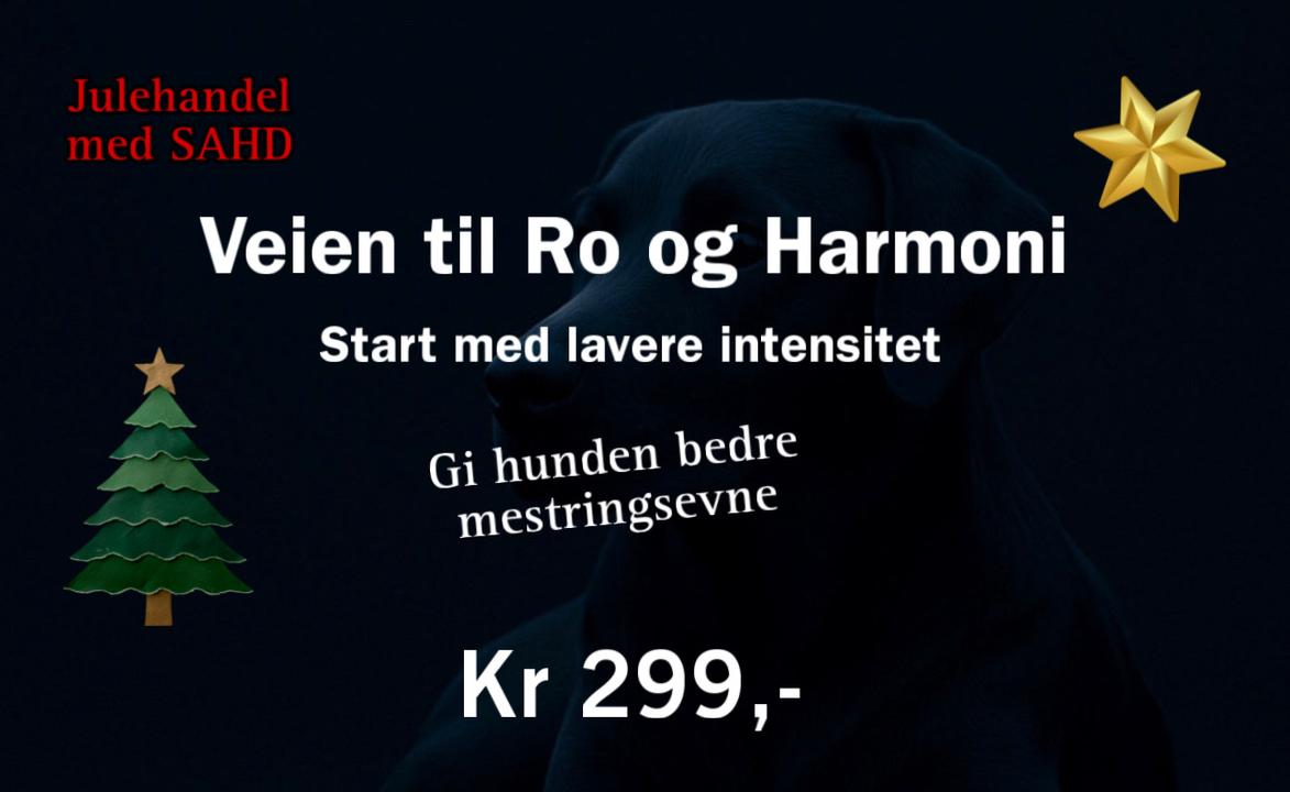 109B96B6-098C-48E5-8B9C-5EA35FBF237F