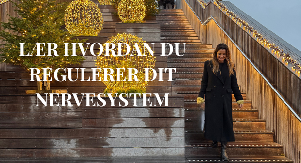 Card E-BOG: Lær at regulerer dit nervesystem 700 x 380-6-kopi
