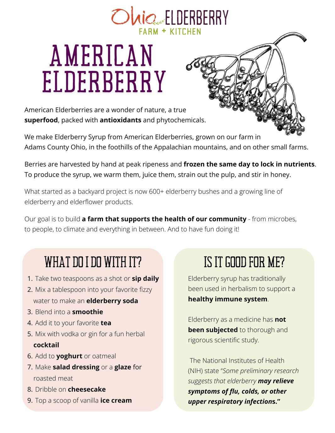 Elderberry Info sheet image page one