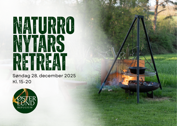 Nytårs retreat