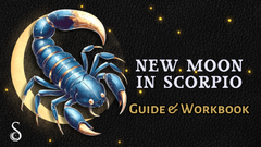 NM Scorpio