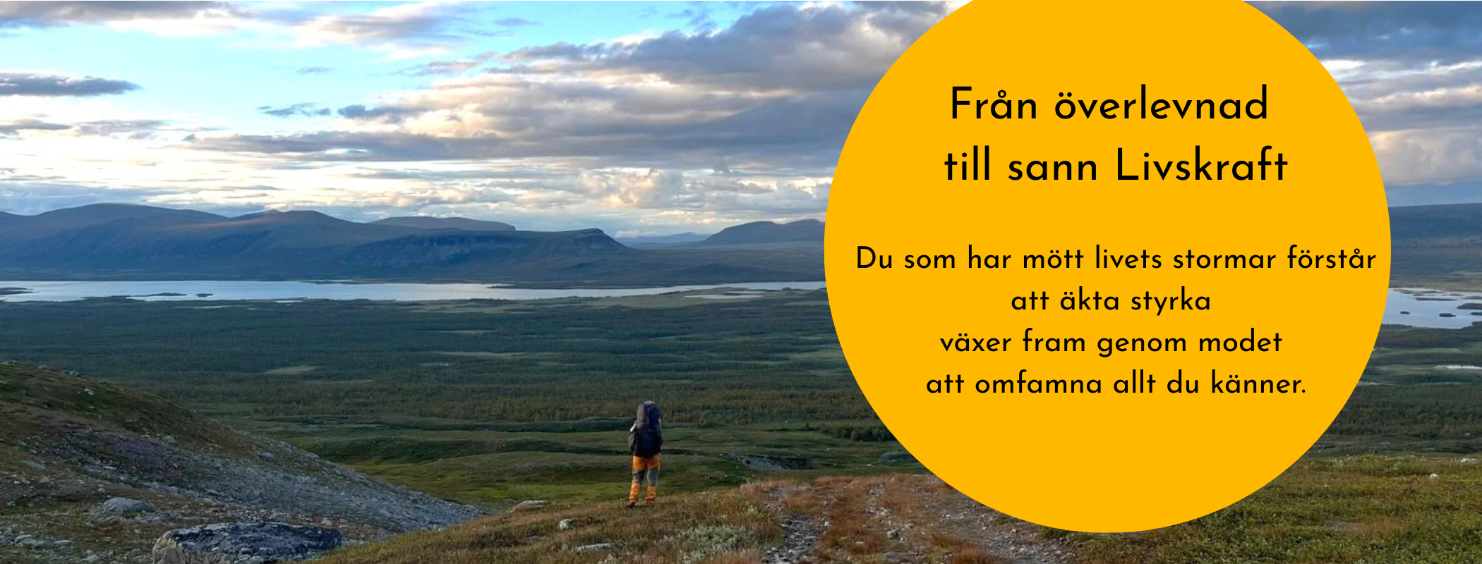 Starter kit 800(2100 x 800 px) (15)