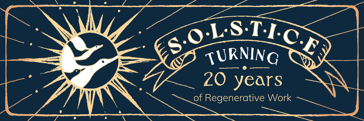 Solstice email banner