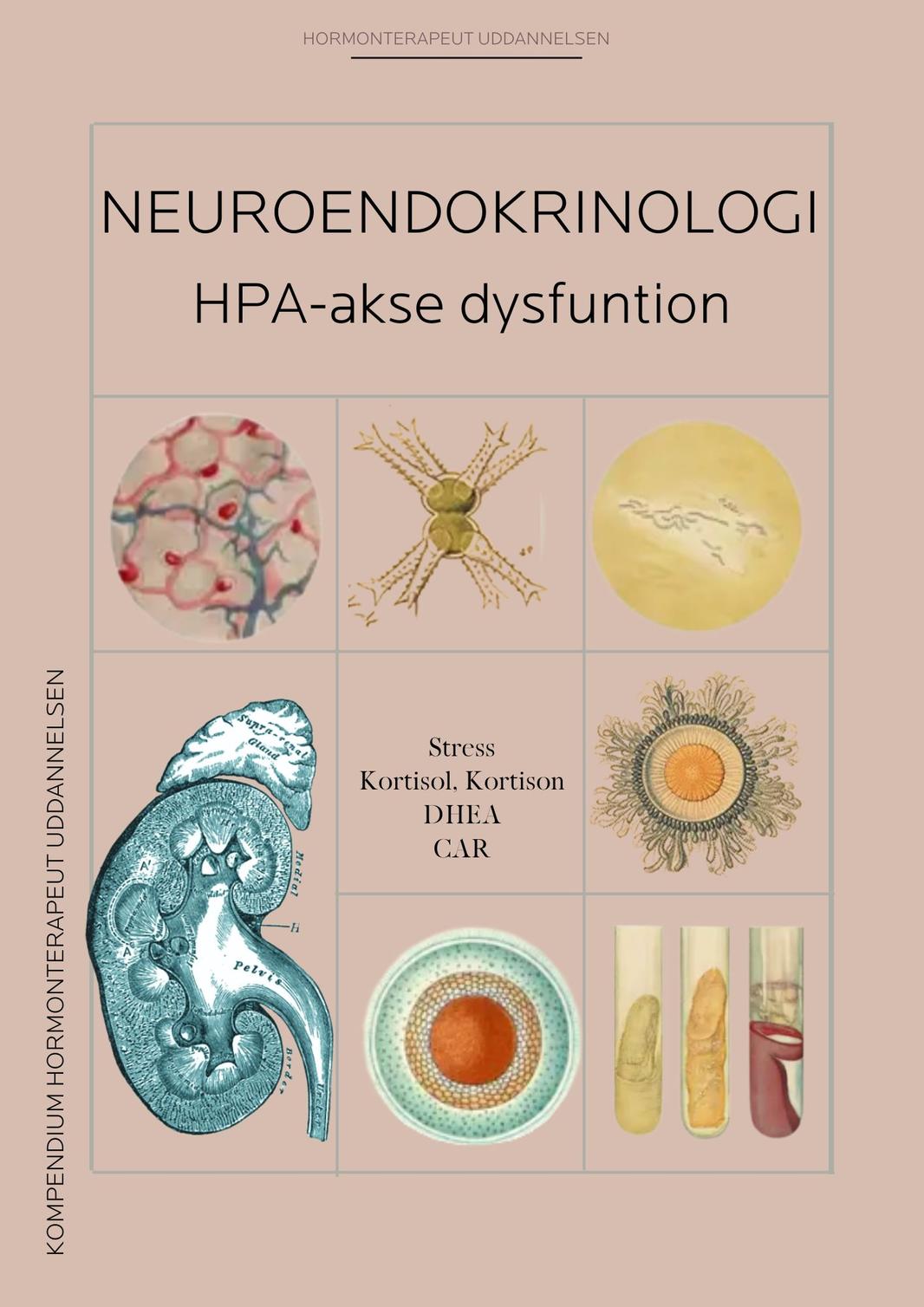 Neuro forside HPA 2026