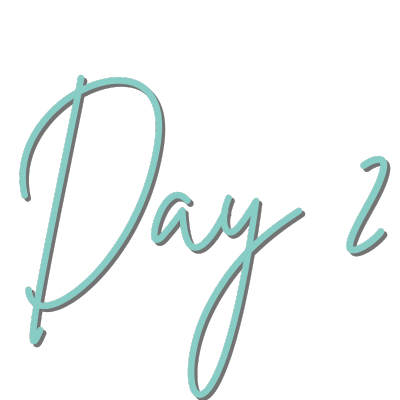 wlac 2026 designs 400x400 (1)