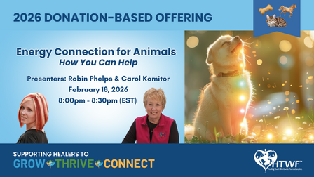 Energy Connection for Animals - How You Can Help