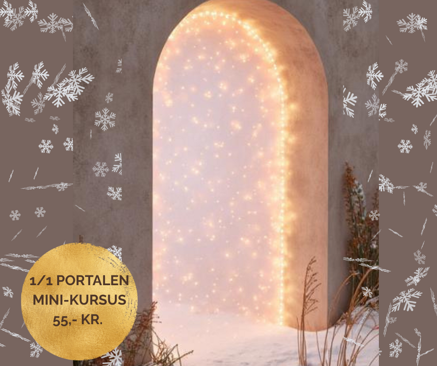 1 1 portalen mini kursus