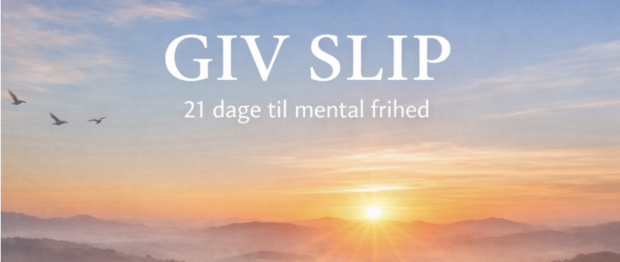 Skærmbillede 2025-12-30 kl. 13.40.20