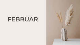 vejrudsigt februar 2026