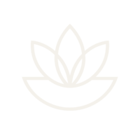 SLL loge transparent