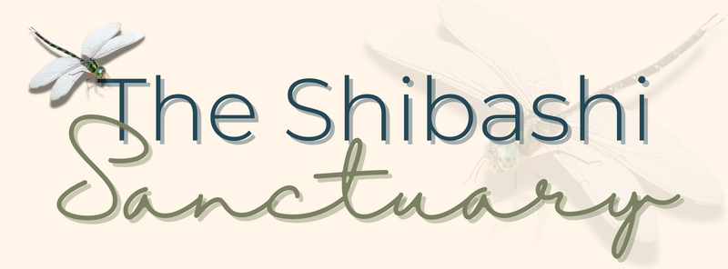 The Shibashi Sanctuary