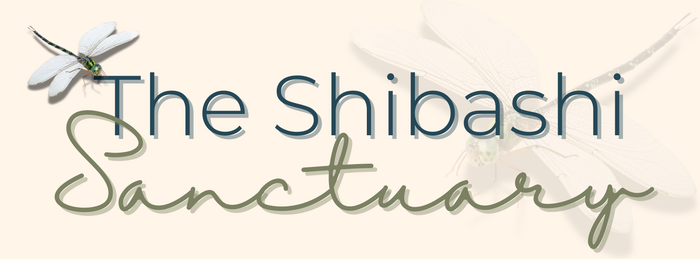 The Shibashi Sanctuary