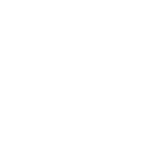 The Sacred Blueprint® Logo