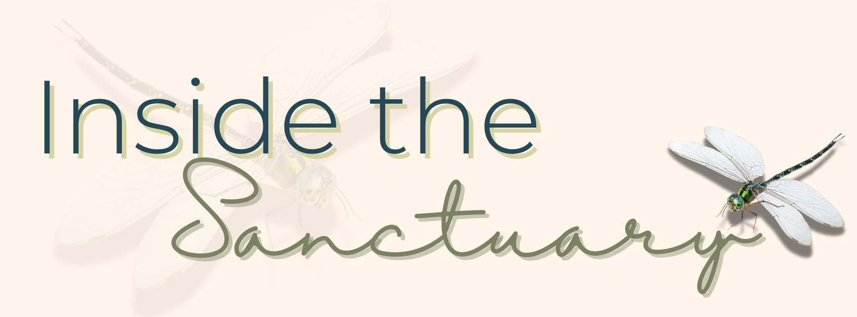 Inside The Sanctuary copy