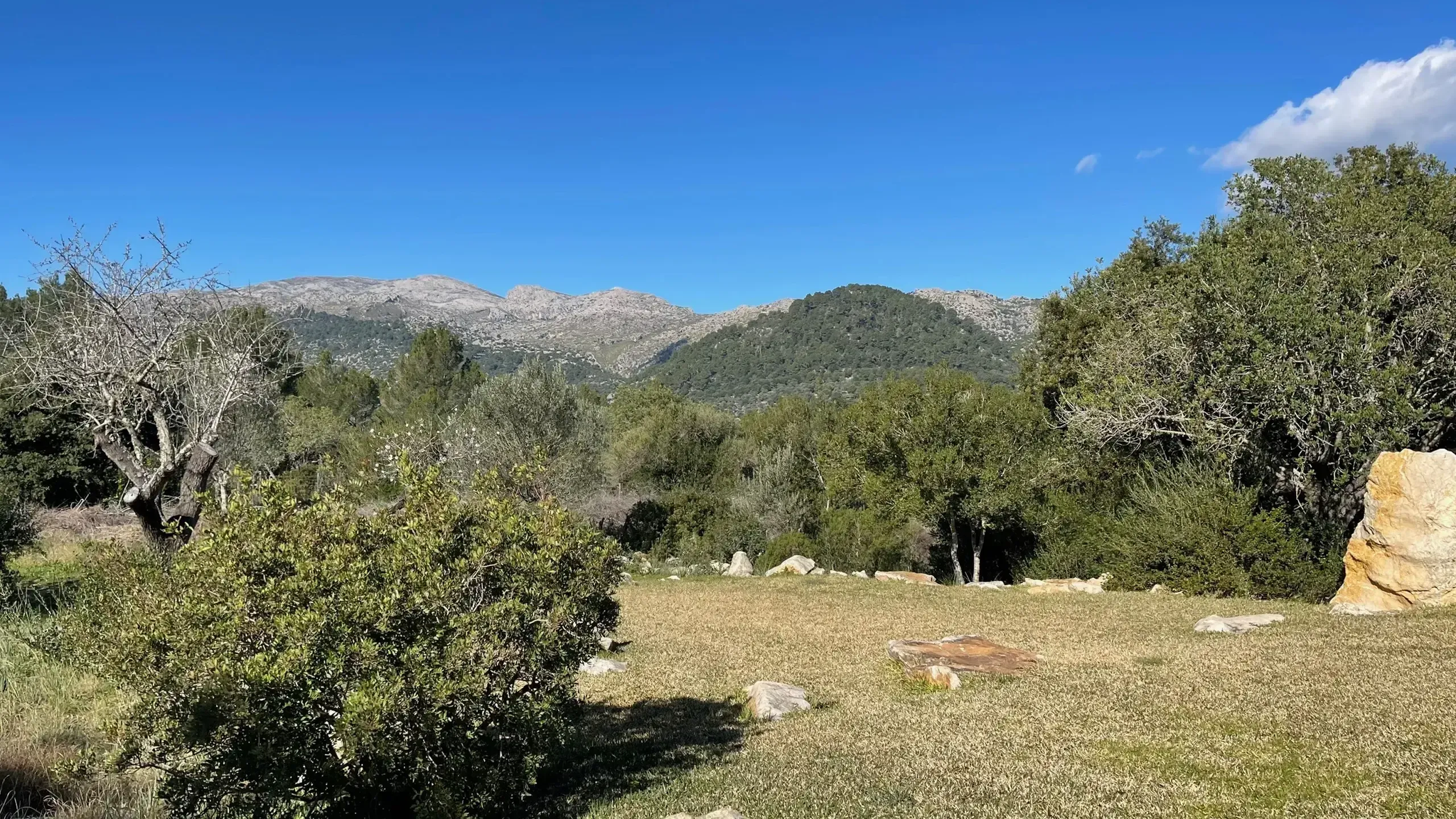 Tramuntana mountain hills at La Serrania, Mallorca - Yoga of the Soul Retreat venue