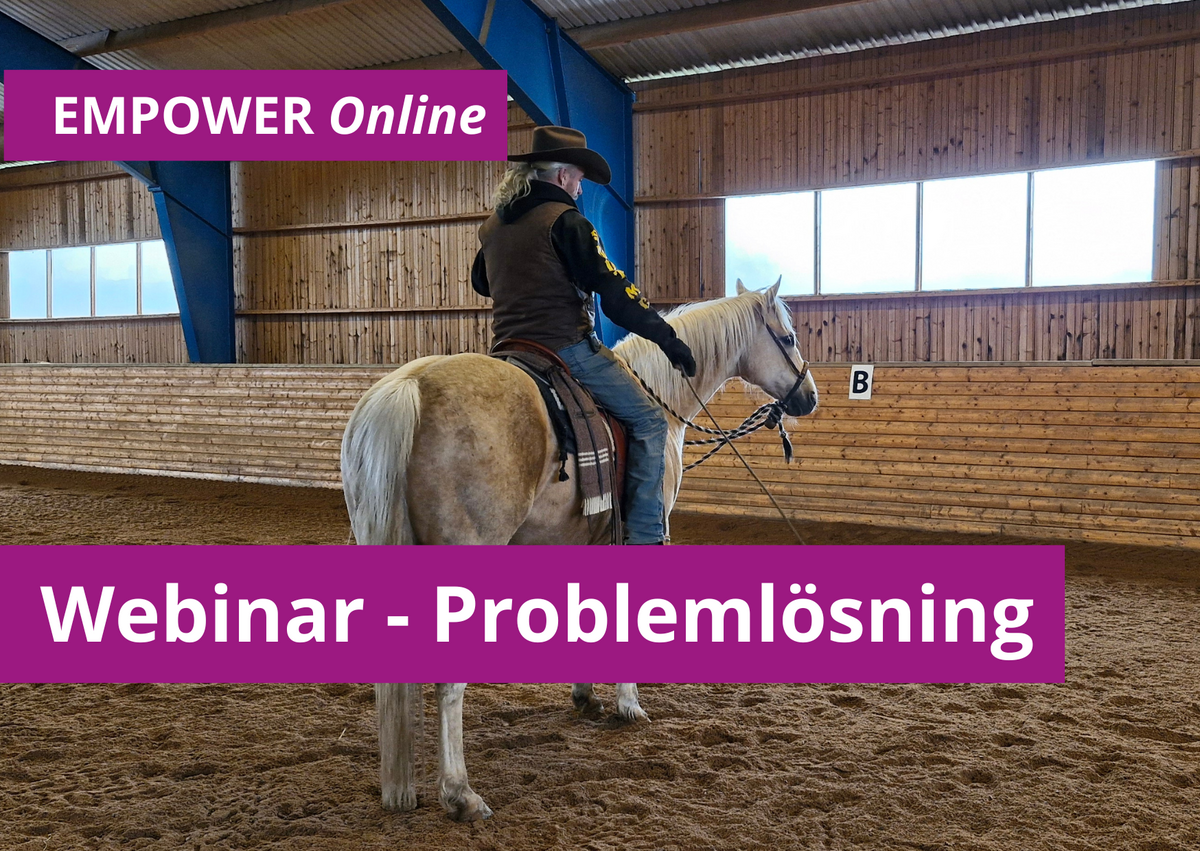 Webinar problemlösn