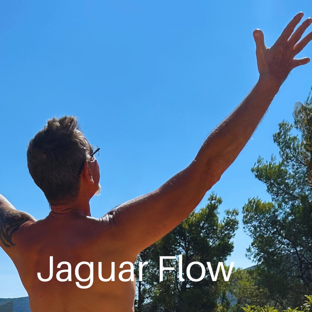 JAGUAR-FLOW-edited