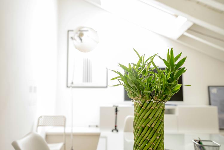 photo-1524222928538-afb4409a0d70