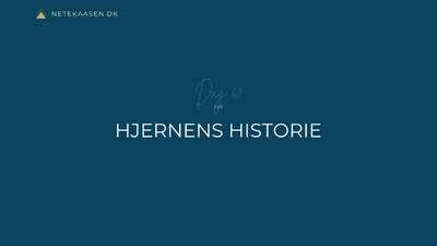 Video2 hjernens historie (1)