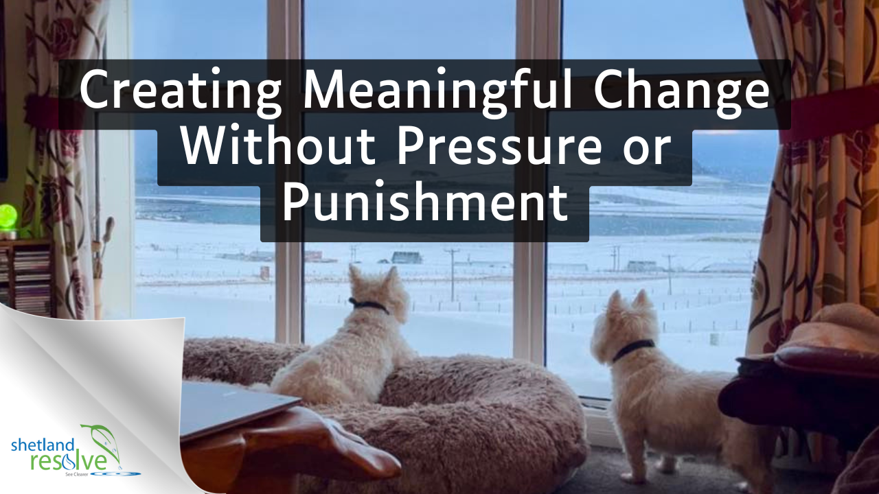 creating meaningful change blog