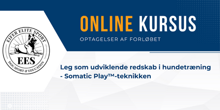 Online kursus somatic play