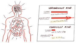 Comparison of the unconscious mind processing 11 million bits per second against the conscious mind processing 40 bits per second