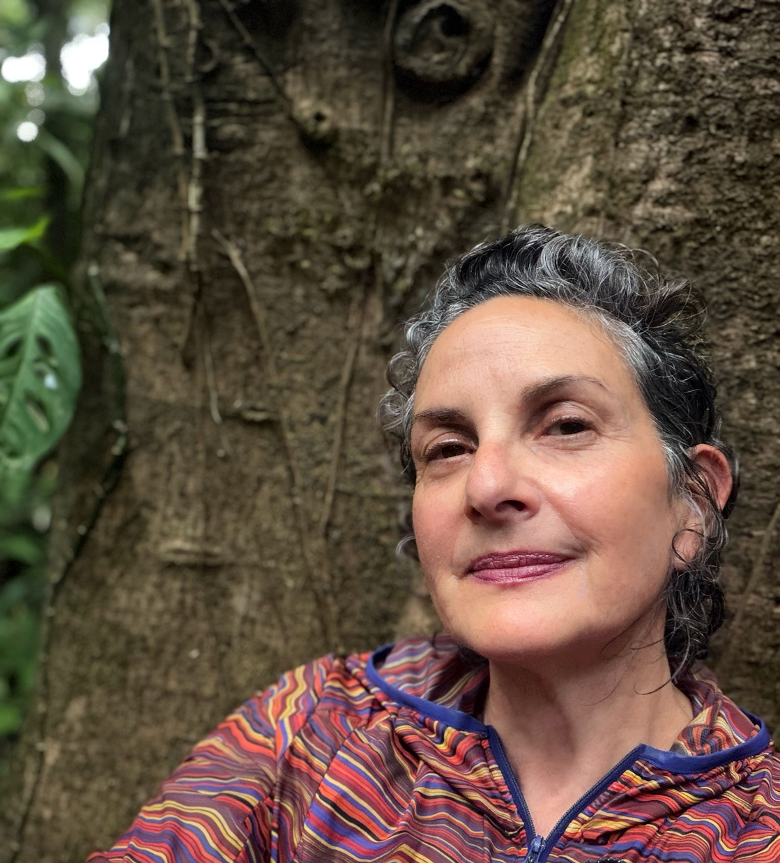 ED4E6DCA-AEAF-49E9-AD56-1269F32B460D-2