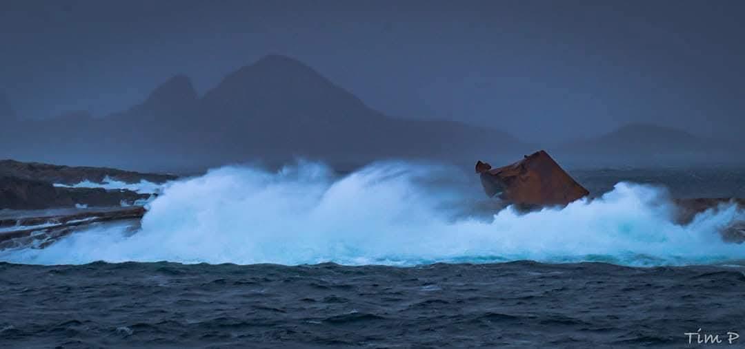 FB_IMG_1738754684245