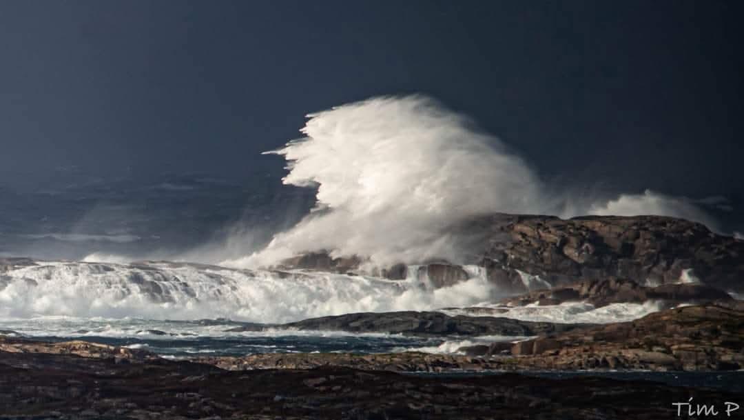 FB_IMG_1738754681203