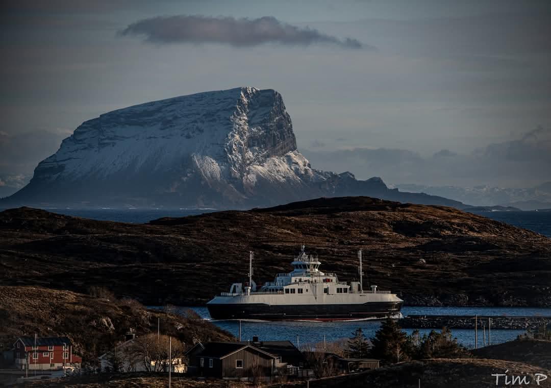 FB_IMG_1741295175227