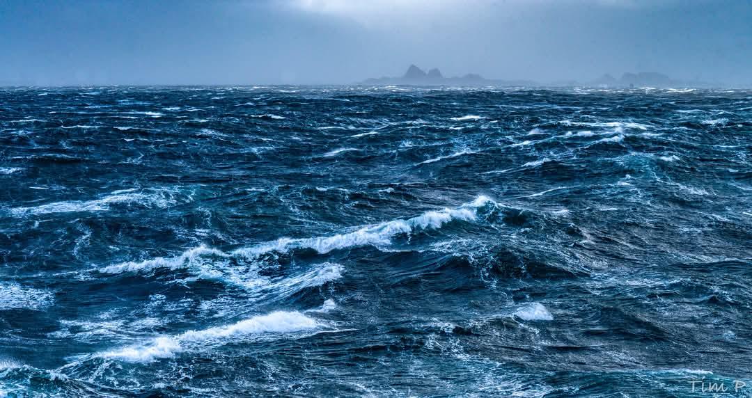 FB_IMG_1749127413543