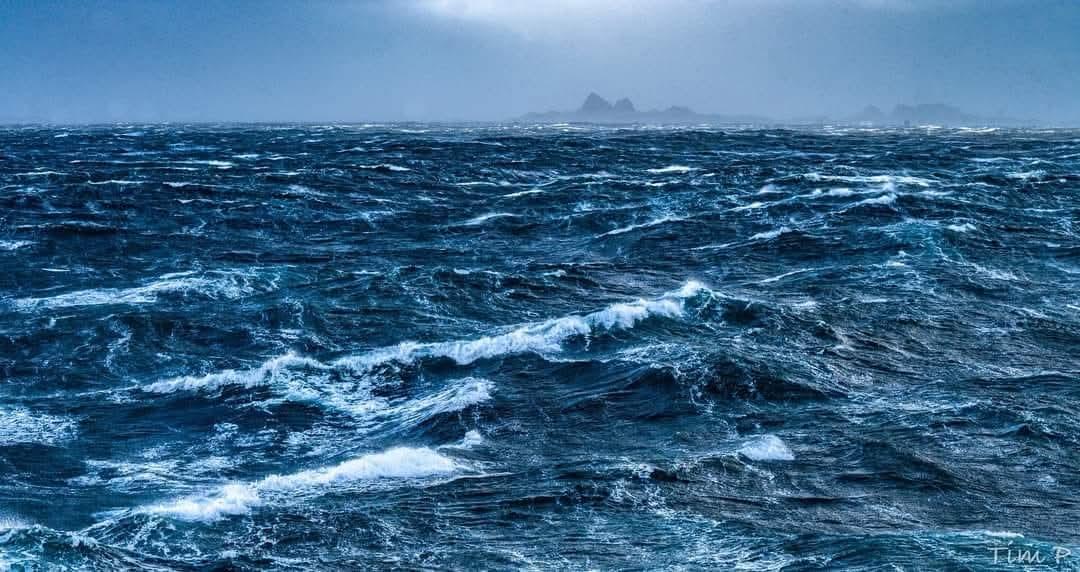 FB_IMG_1738754686997