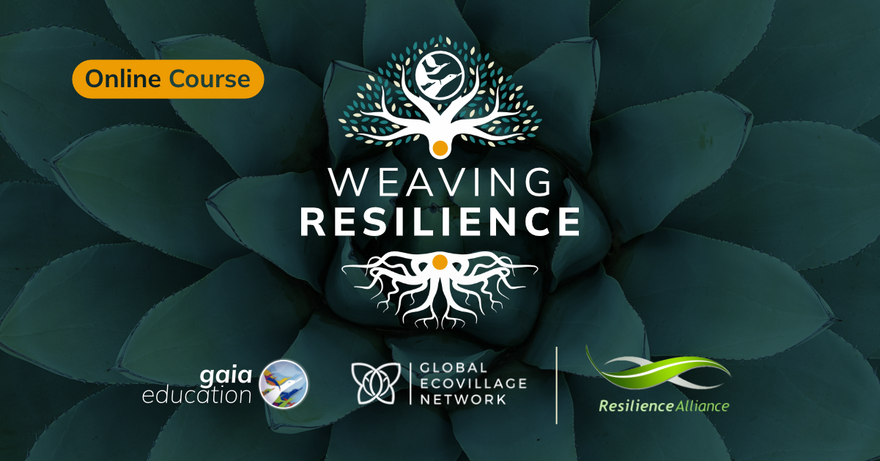 Weaving Resilience - social sharing