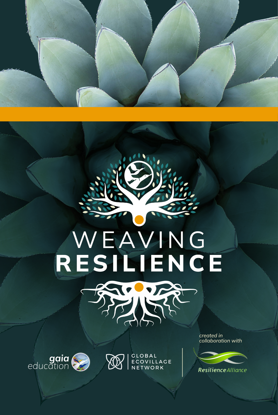 Weaving Resilience - hero mobile bottom