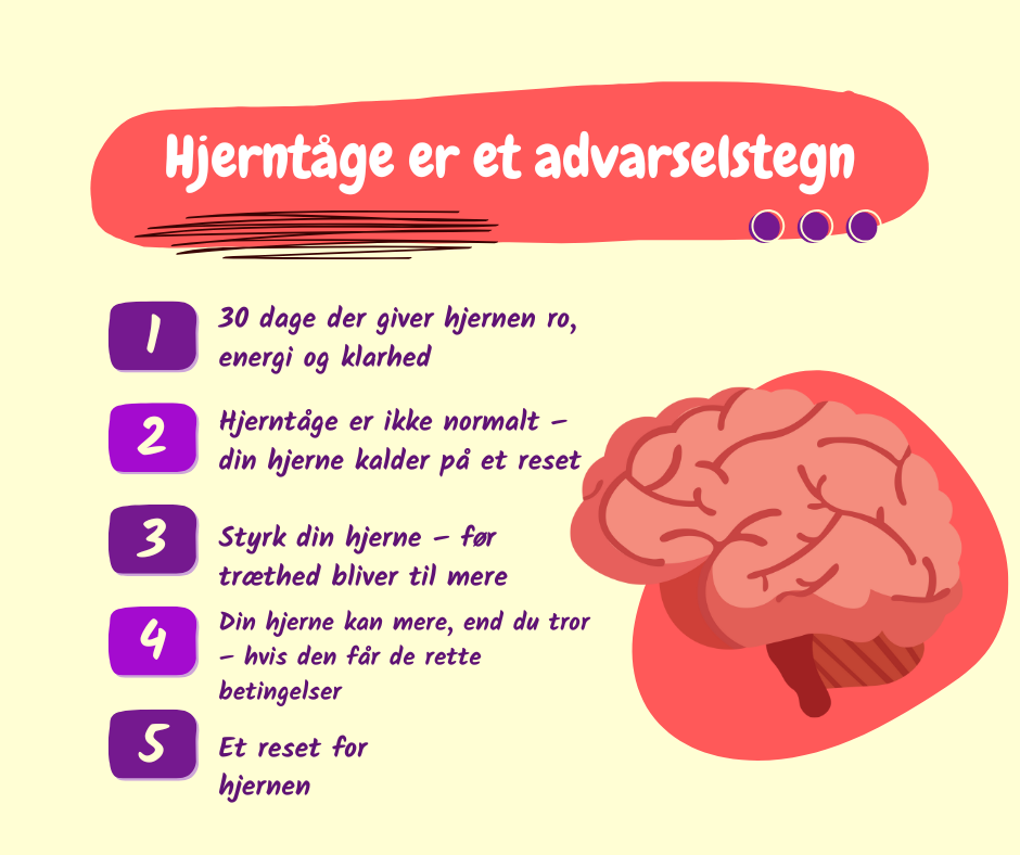 Hvordan forbedre du hjerntåge
