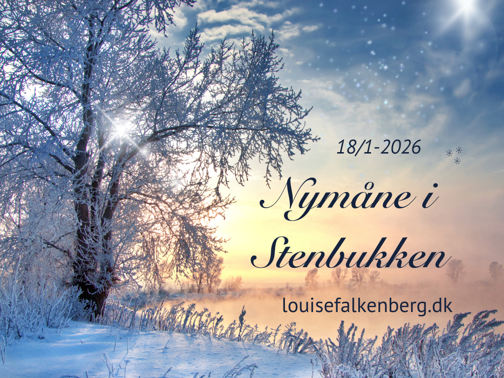 nymåne i stenbukken, januar 2026
