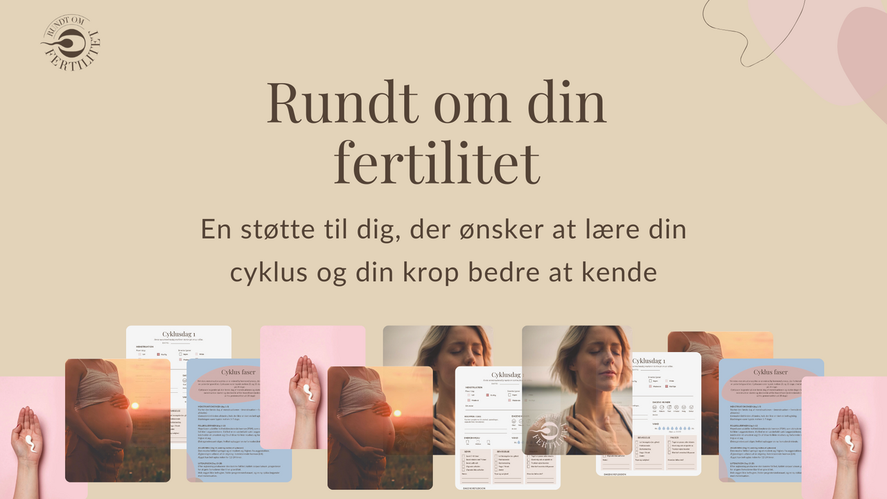 E-bog cover til www ROF