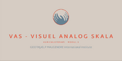 MODUL 1 - VAS - Visuel Analog Skala 2026